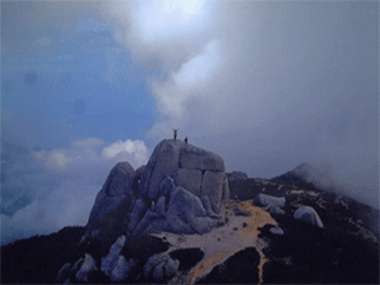 a0044453_22571722.gif