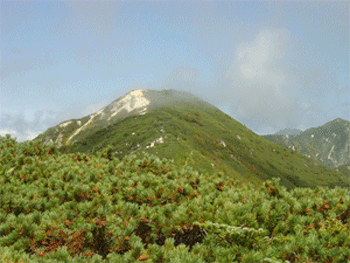 a0044453_23122149.gif