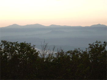 a0044453_2331233.gif