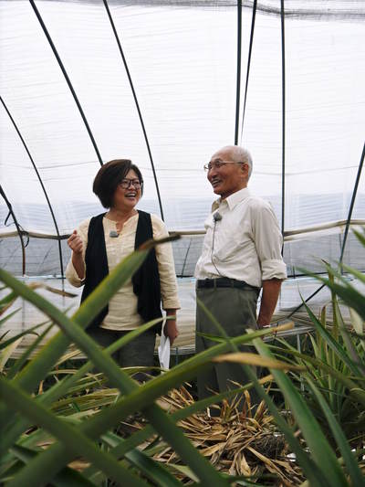 熊本産パイナップル 9月18日(木)テレビタミンで「田代農園」さん生中継の裏話!_a0254656_19195760.jpg
