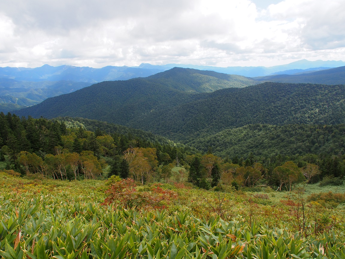 尾瀬笠ヶ岳 ＆ 至仏山（ 2014.9.14～15 ）①_b0335256_22015564.jpg