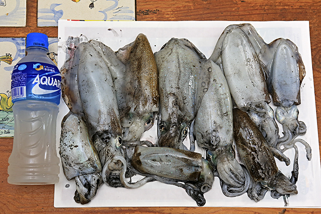 しまなみ海道 生名島 弓削島 釣行14 9 気ままな Digital Photo
