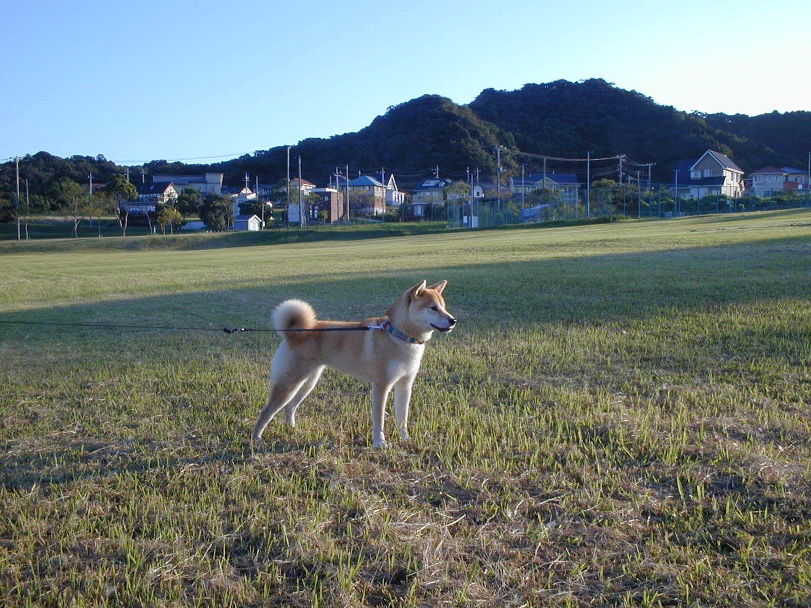 ’14,9,20(土)乙女時代の愛ちゃん!_f0060461_14365572.jpg