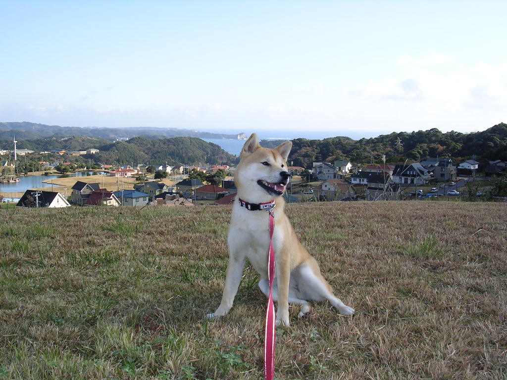 ’14,9,20(土)乙女時代の愛ちゃん!_f0060461_15123393.jpg