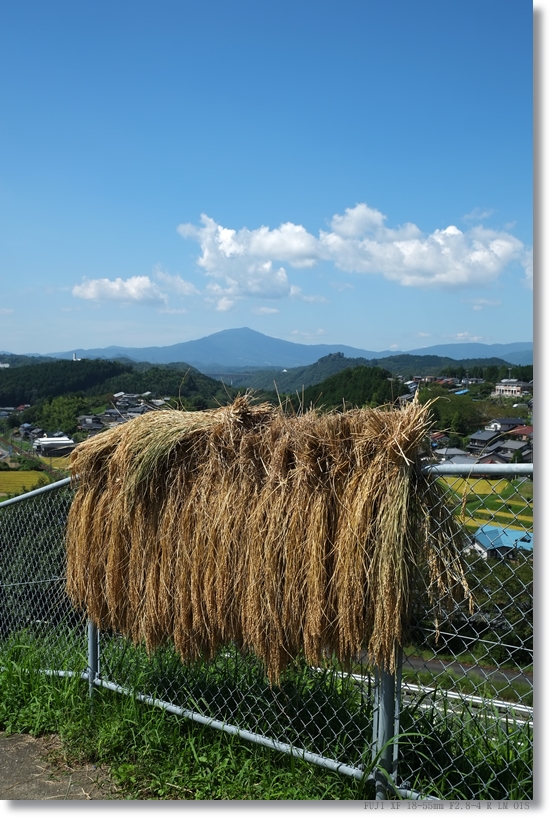 鉄塔のある風景_c0054876_8543989.jpg