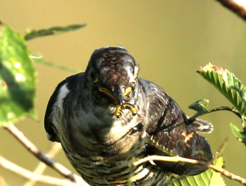 d0262476_53271.jpg
