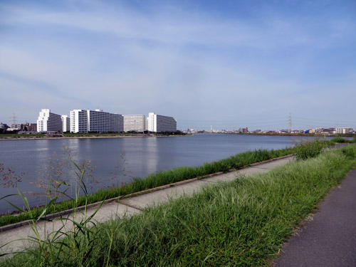 d0085887_525975.jpg