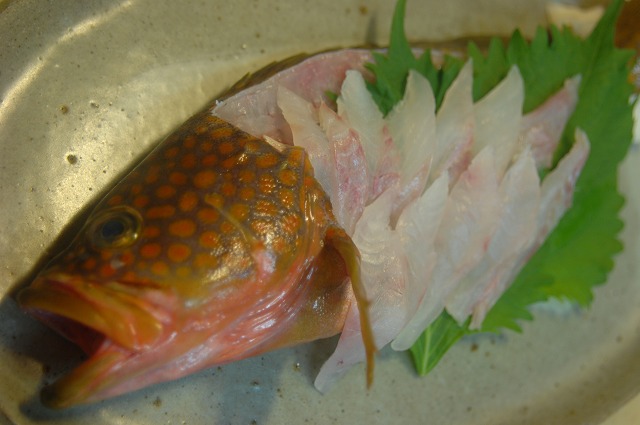 アコ 魚と海が好き 美味しく食べよう 明石の魚 嵜 saki アコ 魚と海が好き 美味しく食べよう 明石の魚 嵜 saki