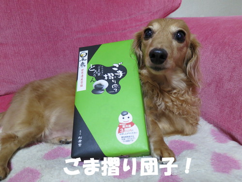 開拓者！_b0200291_22345259.jpg