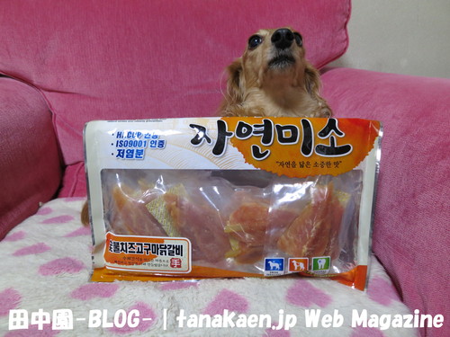 開拓者！_b0200291_22411996.jpg