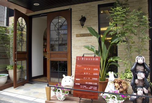ふくりび医療用ウィッグパートナーサロン紹介 東京 埼玉 ブロッサム Npo 全国福祉理美容師養成協会 ふくりび医療用ウィッグパートナーサロン紹介 東京 埼玉 ブロッサム Npo 全国福祉理美容師養成協会