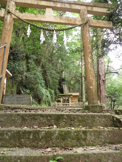 a0193698_16181691.jpg