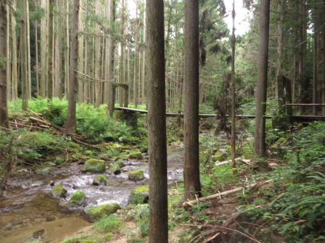 a0193698_16182638.jpg
