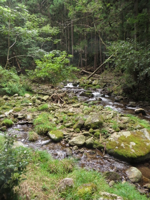 a0193698_16185337.jpg