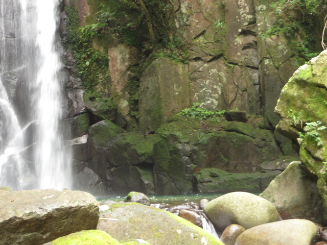 a0193698_16202823.jpg