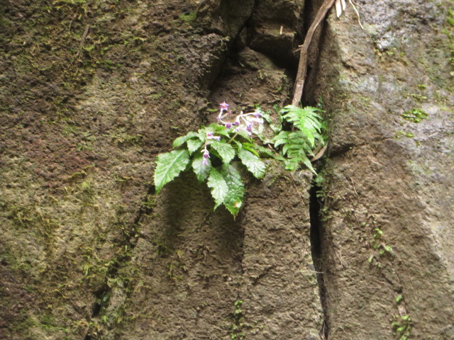 a0193698_16213516.jpg