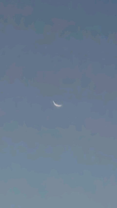 d0093903_546291.jpg