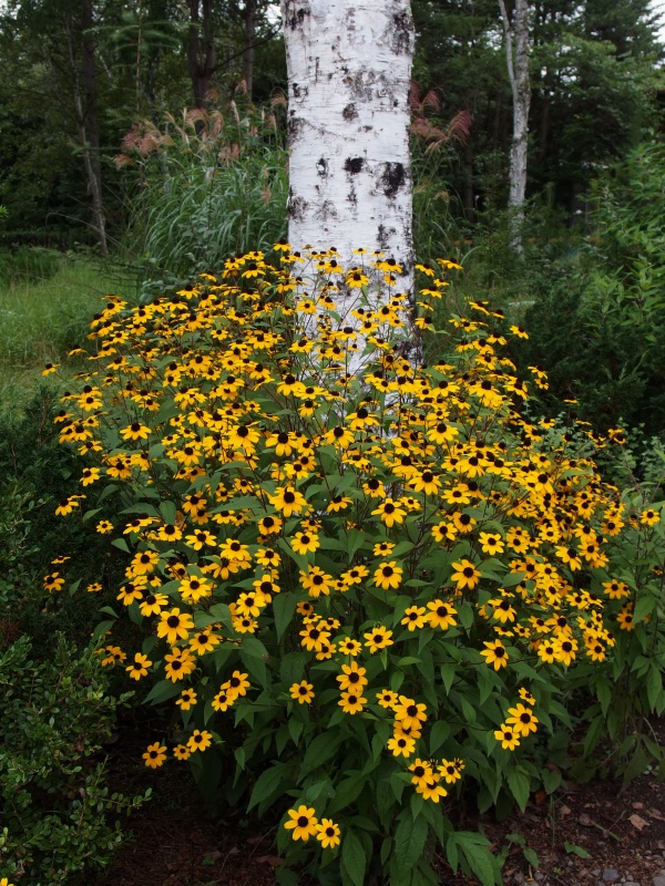 e0039703_16391147.jpg