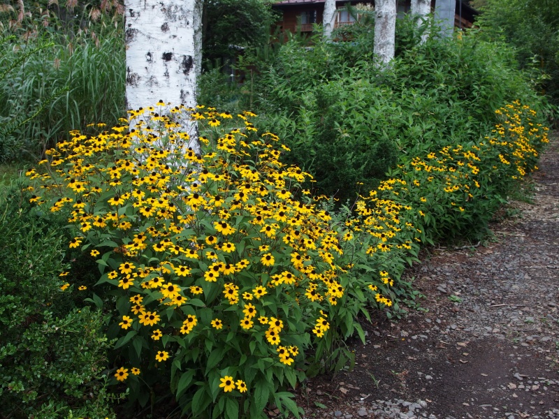 e0039703_16562288.jpg
