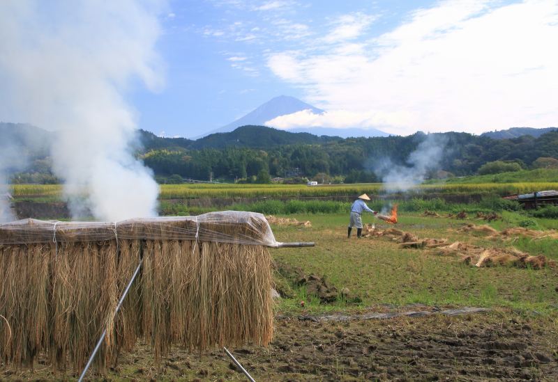 内房の秋風景_a0188405_00090596.jpg