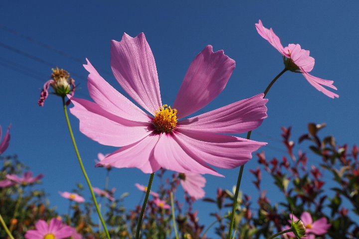 a0268412_21443752.jpg