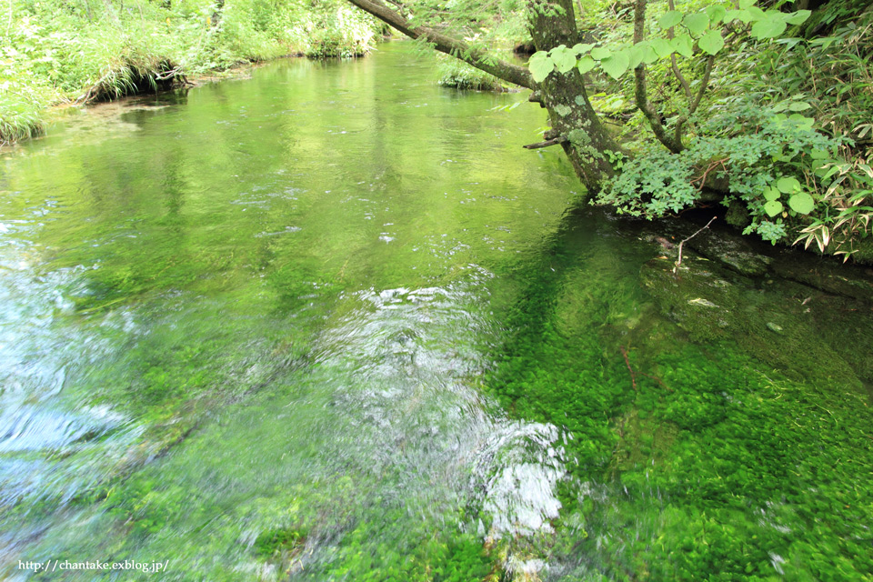 c0189013_741725.jpg
