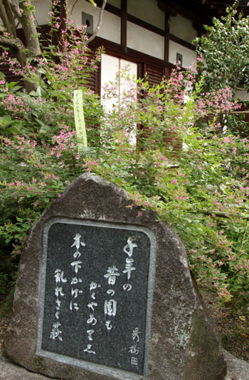 梨木神社 萩まつり_e0048413_18281566.jpg
