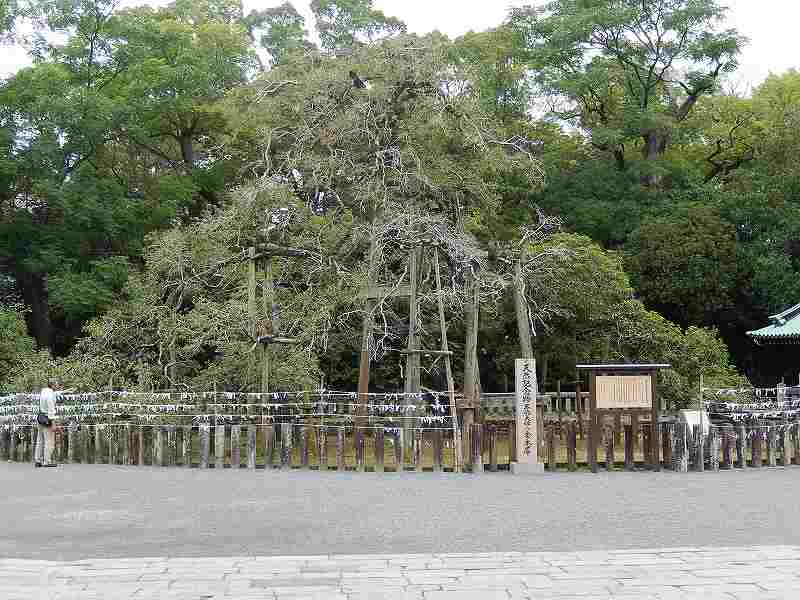 f0182513_23432670.jpg