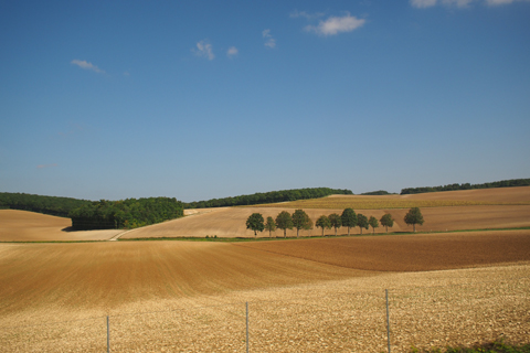 d0063314_21431480.jpg