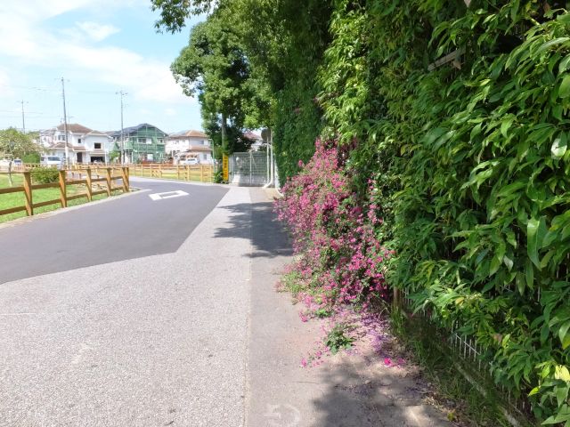 a0166324_18155130.jpg