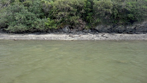 a0050227_20443510.jpg