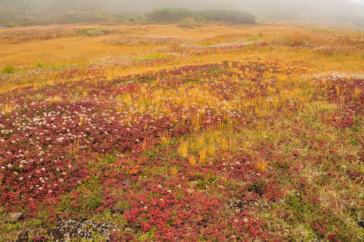 日本一早い紅葉④_f0116528_2019475.jpg