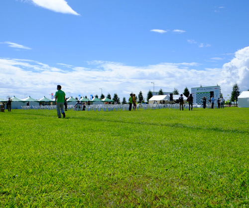 「宮城県・石巻 ツール・ド・東北 プチ写真館」_a0000029_22442373.jpg