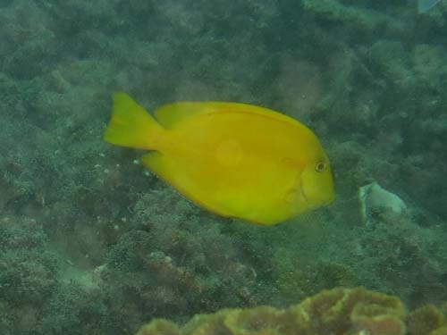 2014年9月21日(日・晴れのち曇り)甲浦_d0164831_154746100.jpg