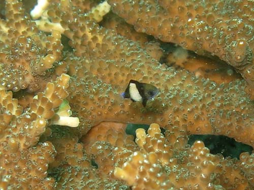 2014年9月21日(日・晴れのち曇り)甲浦_d0164831_15475631.jpg