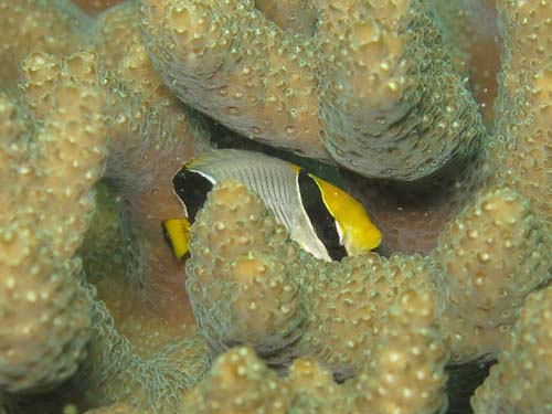 2014年9月21日(日・晴れのち曇り)甲浦_d0164831_1549411.jpg