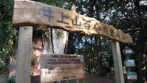 e0202031_22513489.jpg