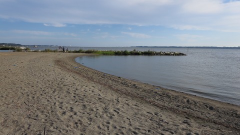 e0202031_2256750.jpg