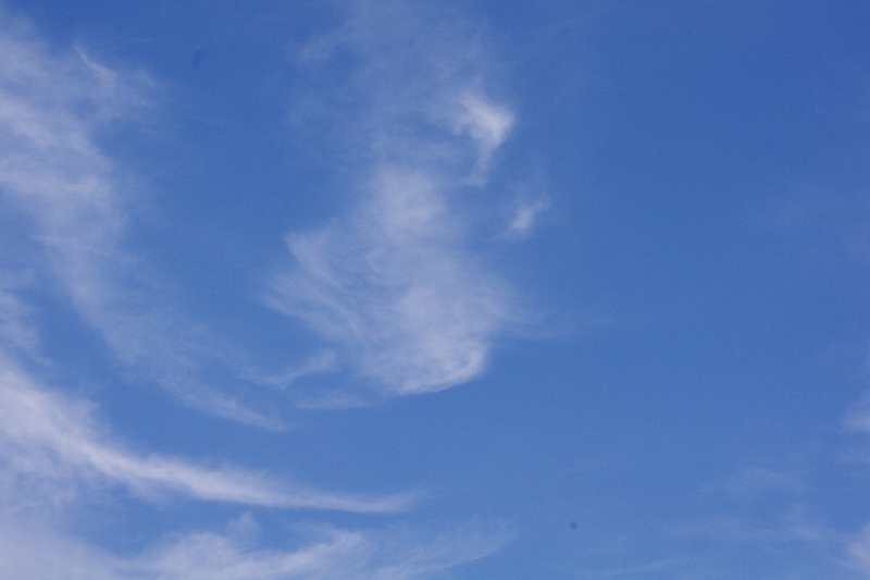 c0113733_23321358.jpg