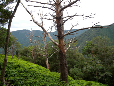 元越山空の公園縦走＆周回_e0272335_2053089.jpg