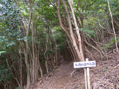 元越山空の公園縦走＆周回_e0272335_2055305.jpg