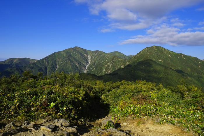 d0237340_1415318.jpg