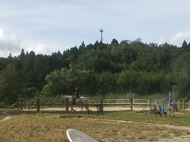 重いノエル_e0145441_240285.jpg
