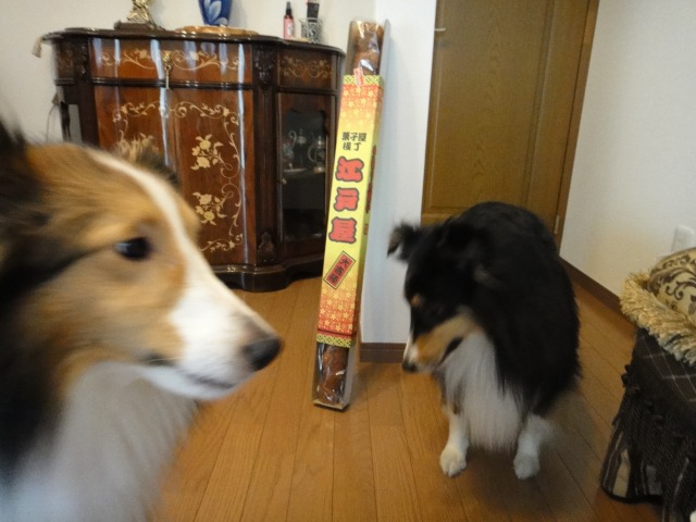 大きな、ふがし_e0195743_10591311.jpg