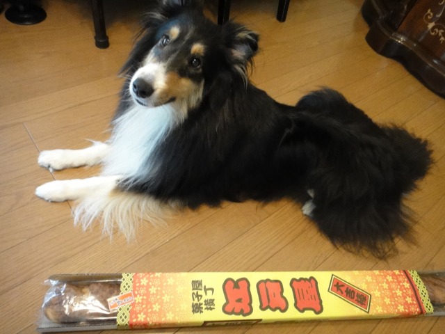 大きな、ふがし_e0195743_10593373.jpg