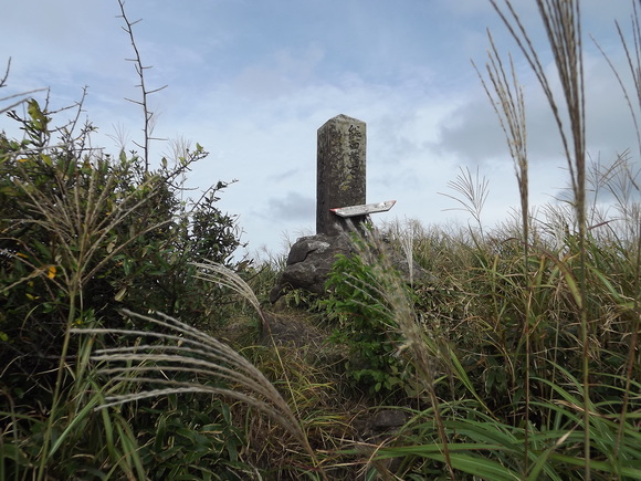 天山　秋の草花咲きはじめる_a0206345_18284490.jpg