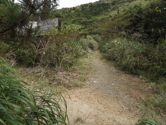 天山　秋の草花咲きはじめる_a0206345_18375980.jpg