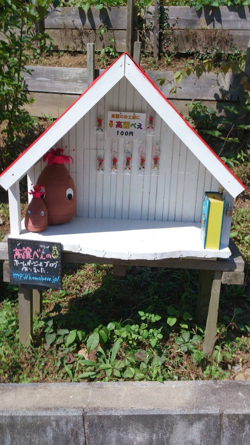 高麗べぇハウスオープン!_c0331145_1131879.jpg
