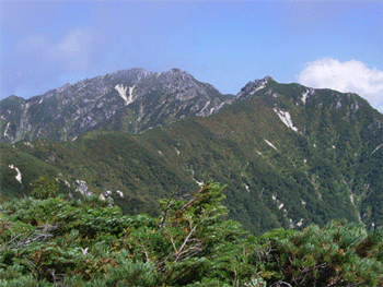 a0044453_9152491.gif