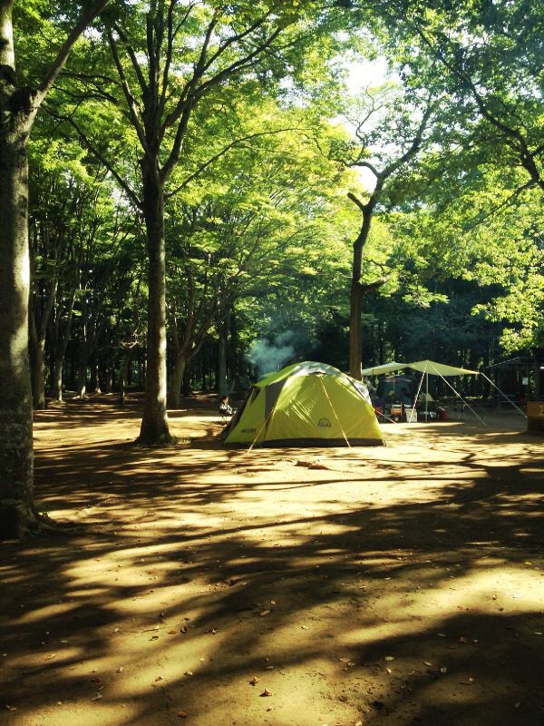 ◆昭和「な」森の、合宿＆キャンプ_b0008655_11423086.jpg